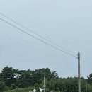 안면도쥬라기박물관 | 충남 태안 아이랑 가볼만한 곳 안면도 쥬라기박물관 방문 후기