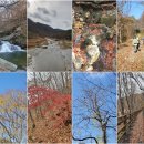 숲 아카데미 97회차 이미지