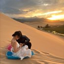 스타인목장 | 베트남 나트랑 판랑사막 선셋투어 후기 스타인월드 예약 시간 일정 내돈내산후기