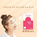 피부N(피부엔)
