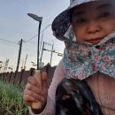 도사초등학교 이미지