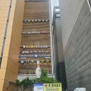 다보인다안경 이미지