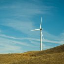 그린뷰티 이미지