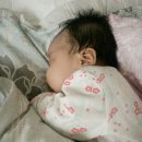 아그얼라 이미지