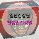 일산건강원
