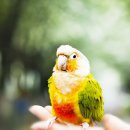 이팝농장 이미지