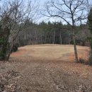 서호면사무소 이미지