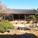 모련다원 | 밀양 가볼 만한 곳 / 600년 차나무와 멋스러운 고택이 반겨주는 다원 마을 혜산서원