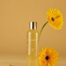 브이워시 이미지