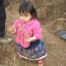 동안농장 이미지