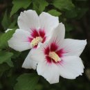 상월초등학교 이미지