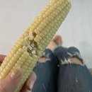 좋은아침치과기공소 | 🍀