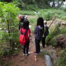 호평초등학교 이미지