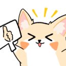 트레블 플스방 이미지