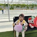 빨강놀이터 | 광주 빨강농장 딸기체험, 실내놀이터 4살아이랑 다녀온 후기