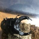 한양전자 이미지