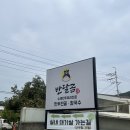 반달곰 | 울산 웅촌 맛집 수제 만두전골 반달곰 내돈내산 후기