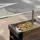 카멜리온 이미지