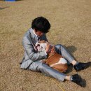 한국참피온 이미지