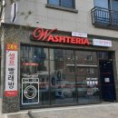 워시테리아본오점