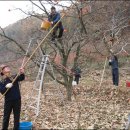 용곡2리 이미지