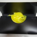 어반하우스 이미지