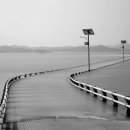 광성민박 이미지