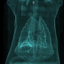 아프리카 동물의료센터 이미지