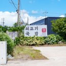 양가네국수집 | 재방문하고 싶은 제주 신화월드 근처 맛집 양가네