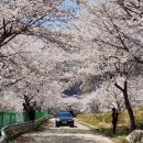 거창-고제-4 이미지