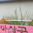 매리휴게소 이미지