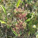 불로고분공원 이미지