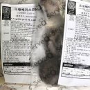큐몰 네이버블로그