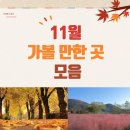 이월드롯데노원 | 산책하기 좋은 계절! 2022 전국 11월 가볼 만한 곳 모음(데이트코스, 가족여행)