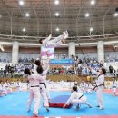 용인대 백두태권도 이미지