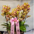 화인메디케어 이미지