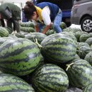 청과물처리장 이미지