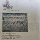 [충남도정신문 연재]김미희 어쩌다 마주친 폰카 시 ⑩ 우리 동네 바다 이미지