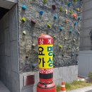 상계태권요가명상 이미지