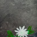 바람꽃뜰 이미지