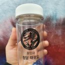 용인대 청당 태권도 이미지