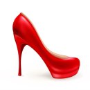 세계로 동물병원 이미지