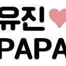 파파벌룬