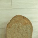 경북대학교 박물관 이미지