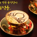 선진관광여행사 - 서구 거북로 25-15 | 선진관광여행사