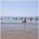 왕산해수욕장 이미지