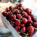 자연식탁 이미지