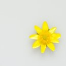 나르샤 태권도장 이미지