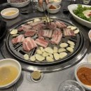 가은동물농장 이미지