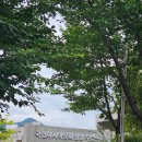 전남피아노사